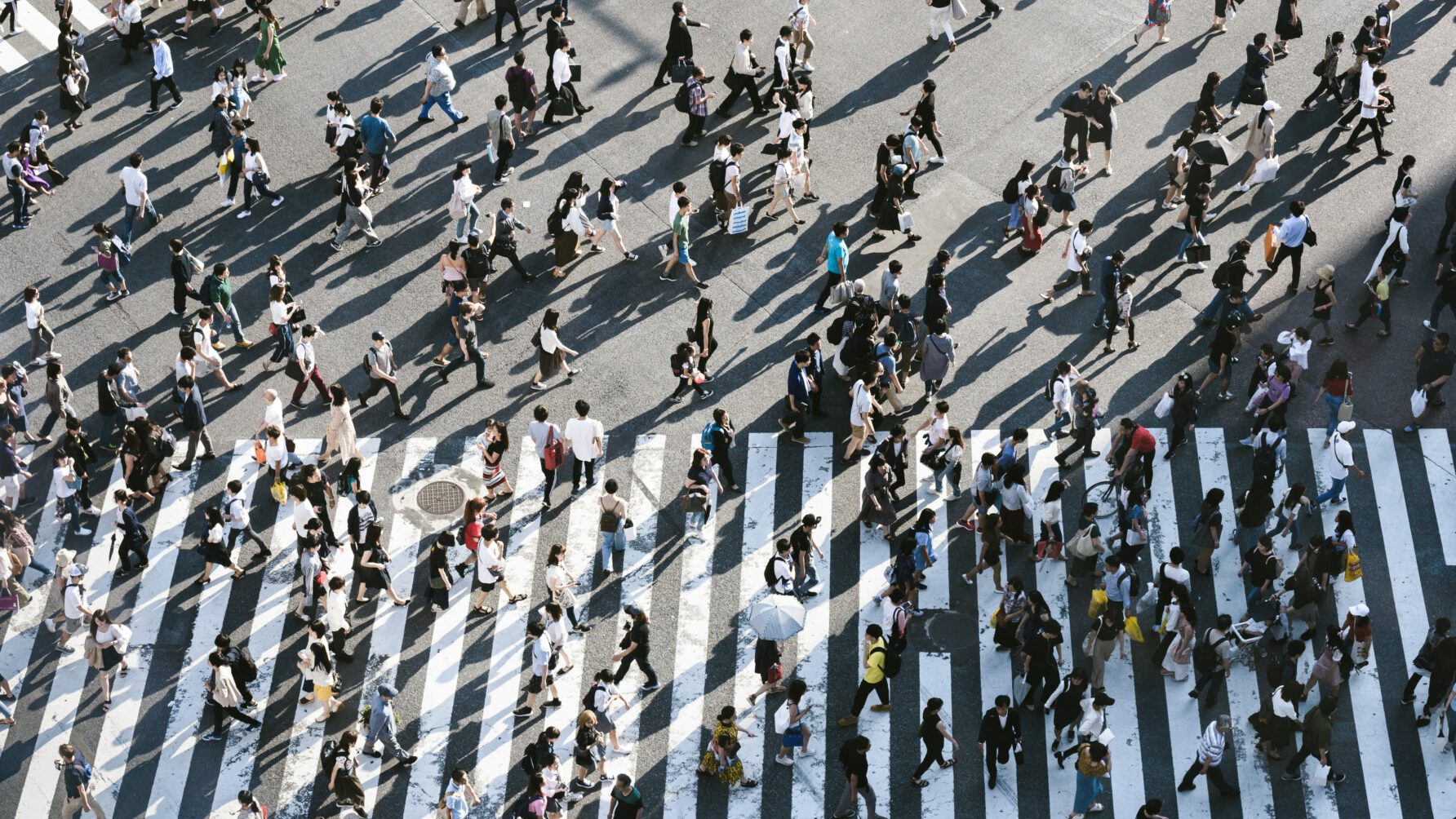 Aerial view of people walking on raod